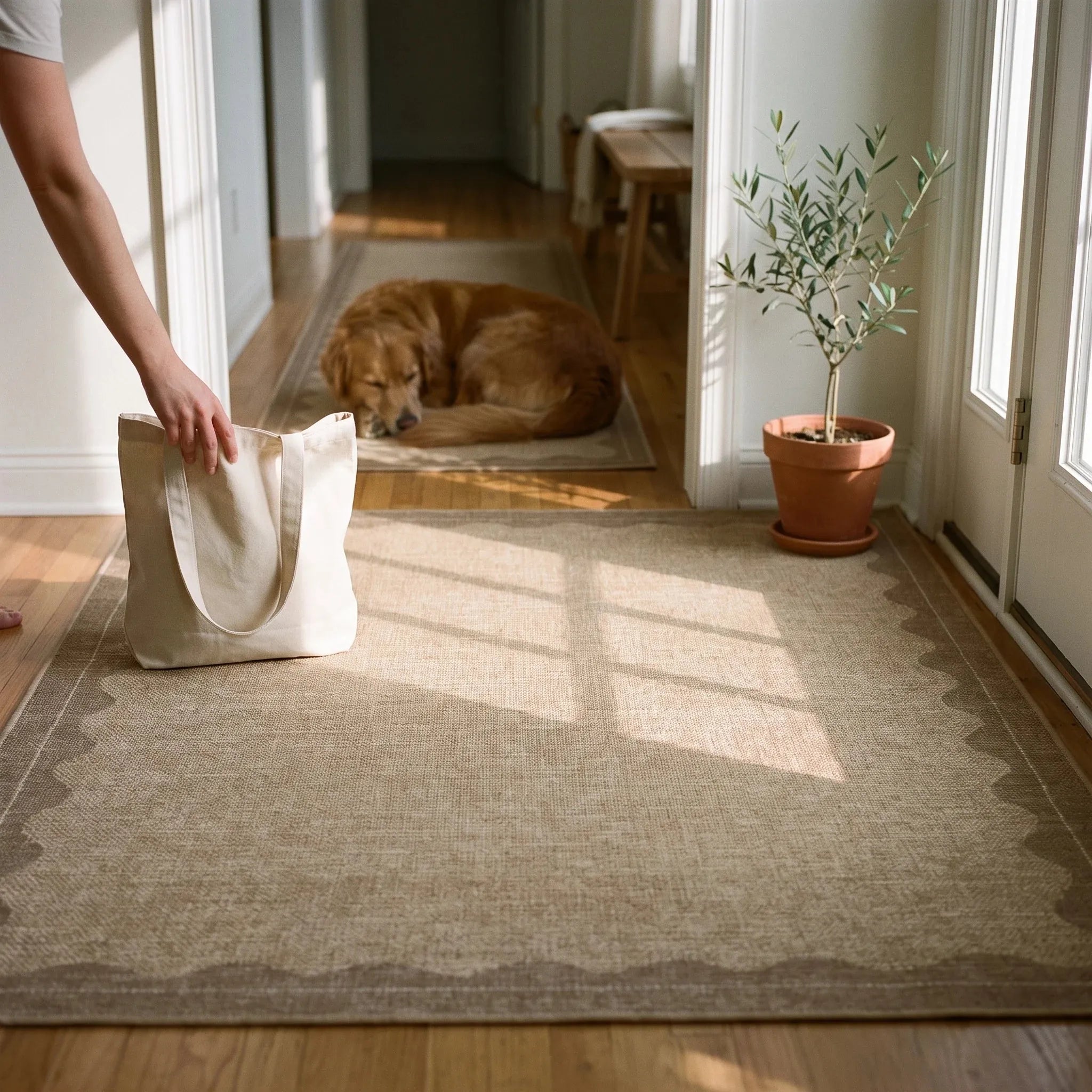 Orla Tan Rug in a sunlit hallway with morning light